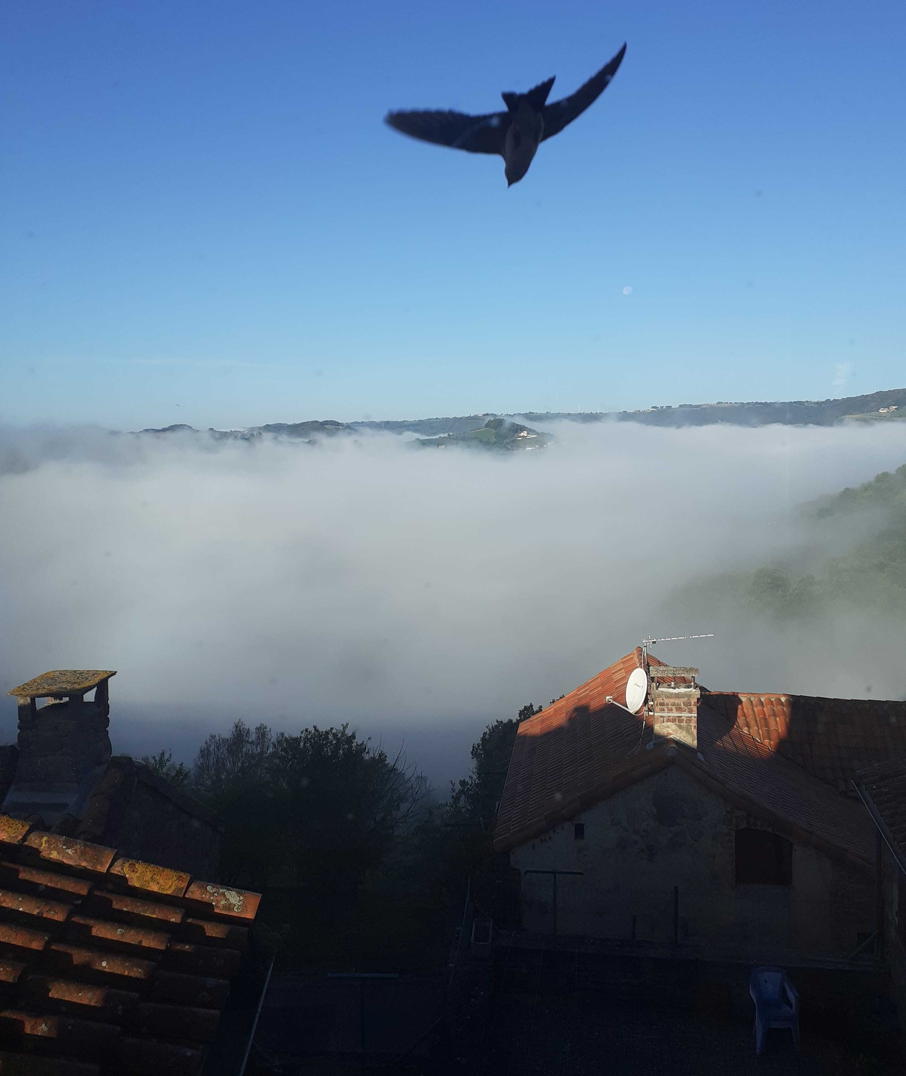 Le premier mois à SaintVictoretMelvieu Insite
